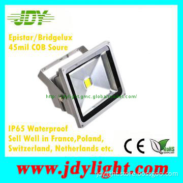 Bridgelux Outdoor LED Flood Lighting 15W IP65 Waterproof with CE RoHS
